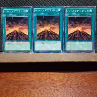 【ぽぽたん】遊戯王  5063　 バーニングブラッド　3枚セット　ノーマル