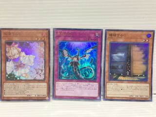 Infinite Impermanence Ultra Maxx "C" Super Ash Blossom & Joyous Spring Super Set