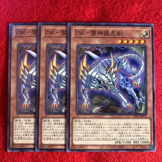 ZW-雷神猛虎剣☆4939