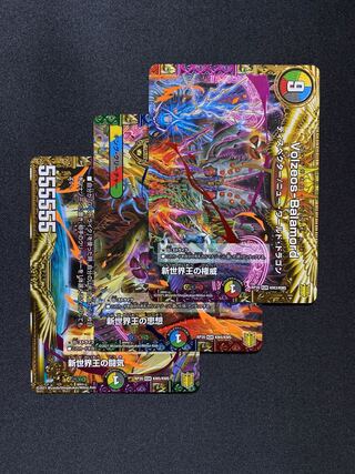 【ヴィルジニア様専用】ヴォルゼオス2セット