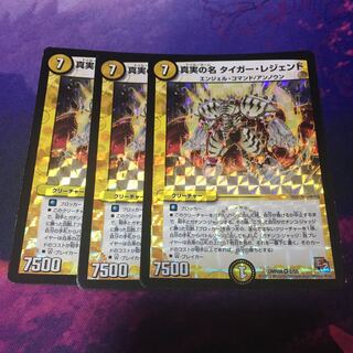 真実の名 タイガー・レジェンド