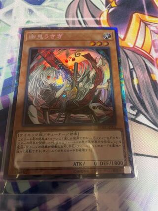 Ghost Ogre & Snow Rabbit (Umi foreign edition illustration) Collector's Rare