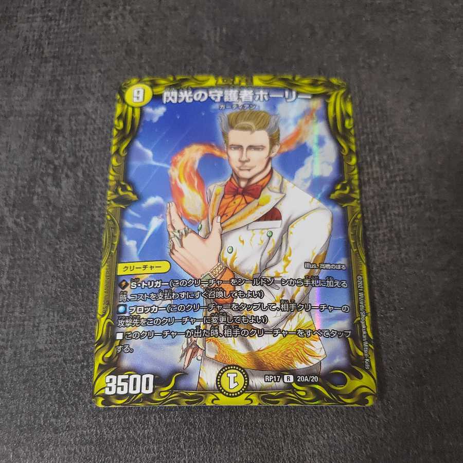 Holly, Guardian of Flash