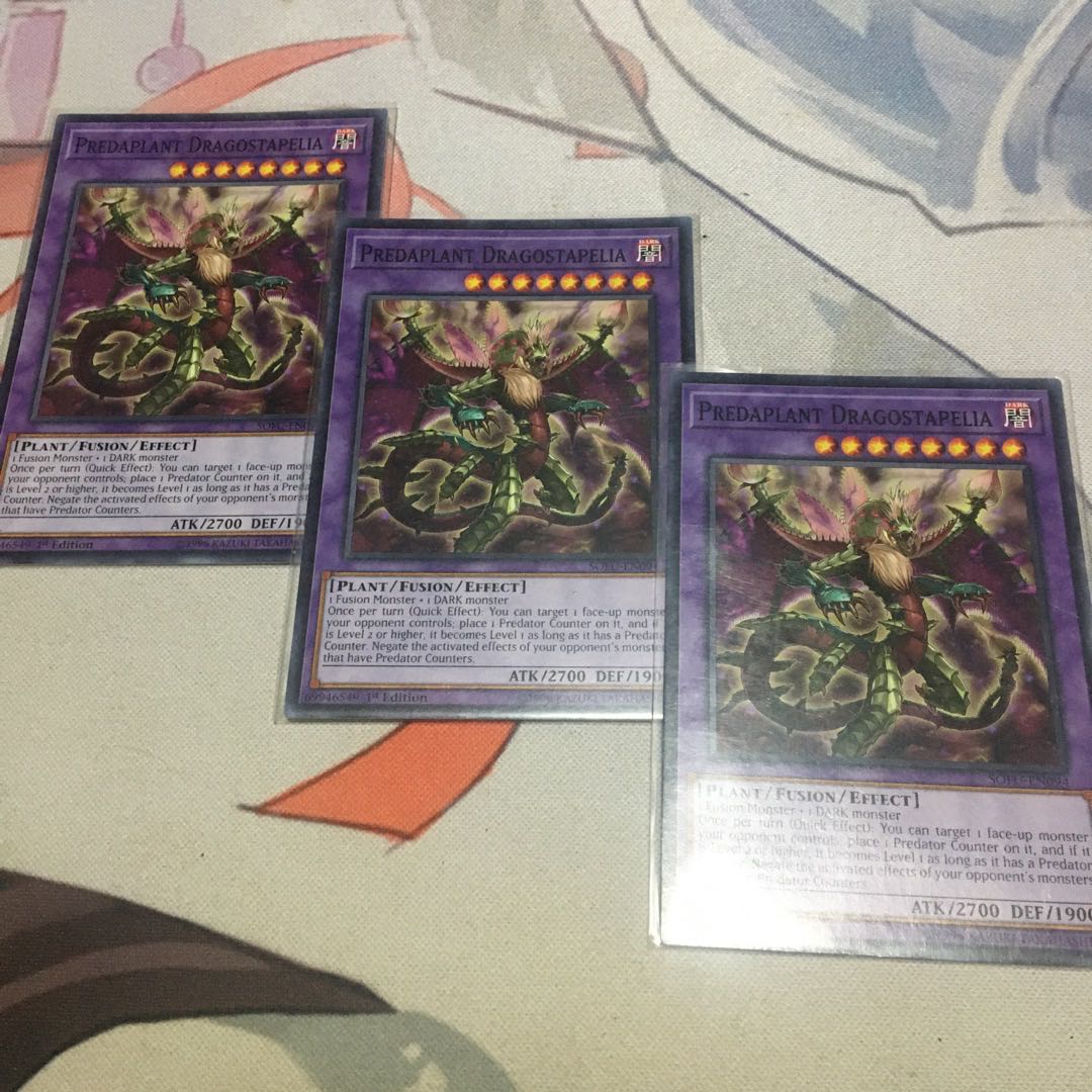 英語 捕食植物ドラゴスタペリア ノーマル