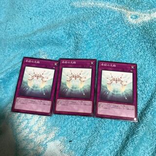 mg34503 奇跡の光臨３枚