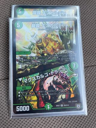 龍罠 エスカルデン｜マクスカルゴ・トラップ