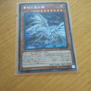 青眼の亜白龍 シークレット