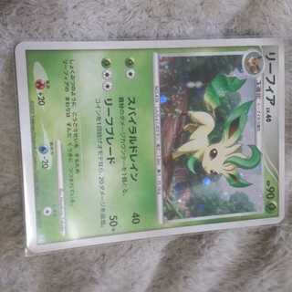 [So cute] Leafeon [This is bad] [Don't buy this] [Don't buy this].