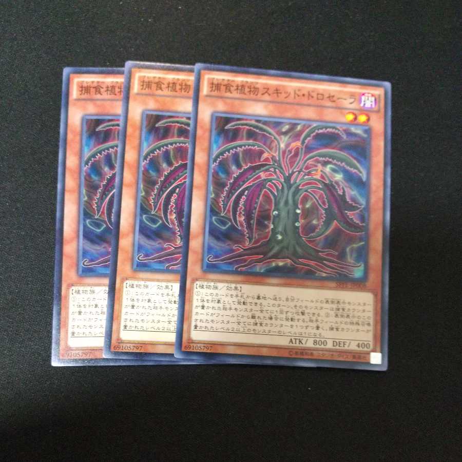 Predaplant Squid Drosera Normal