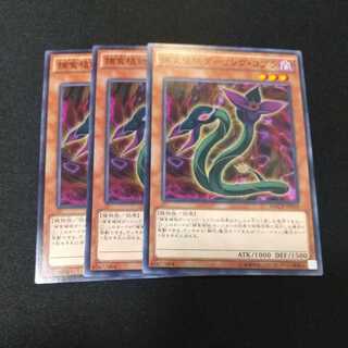 Predaplant Darlingtonia Cobra Normal