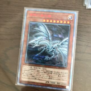 青眼の亜白龍　20th