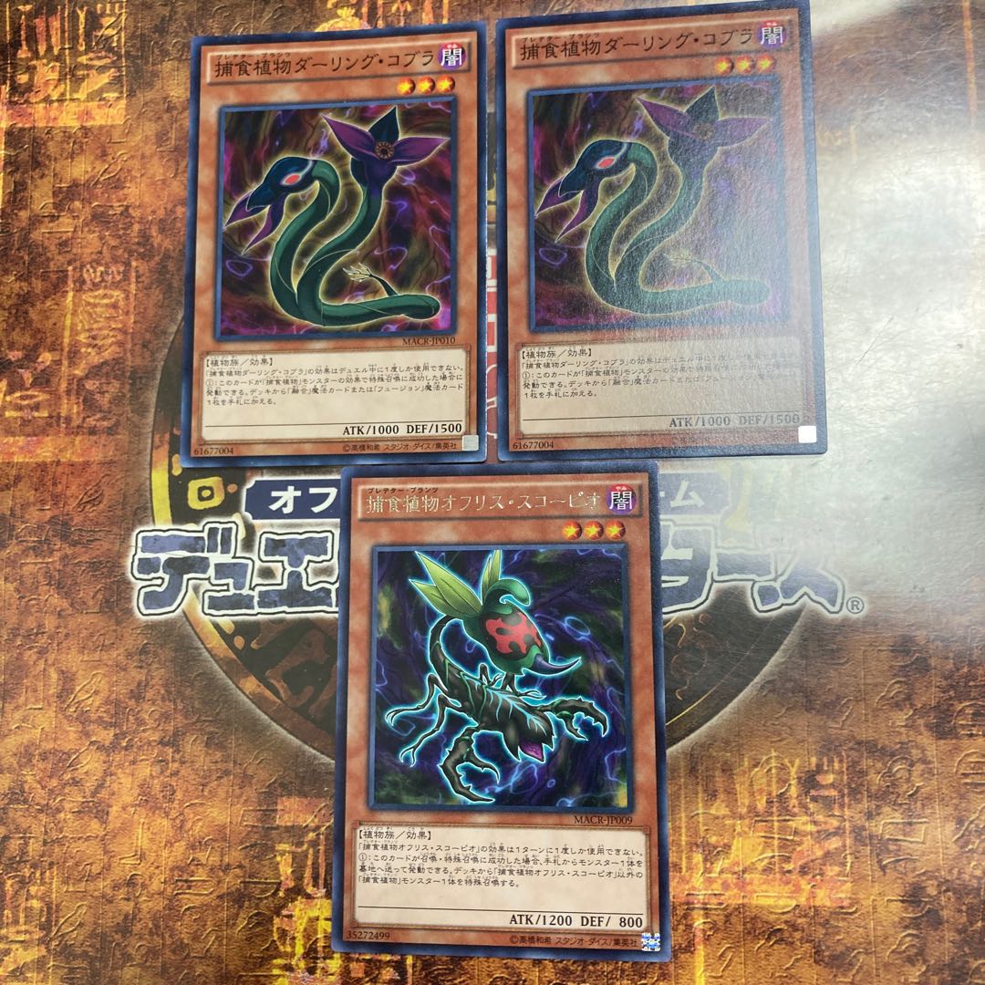Yu-Gi-Oh *Predaplant Ophrys Scorpio, Darling Cobra *Three Piece Set*.