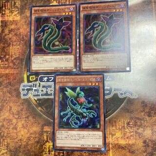 Yu-Gi-Oh *Predaplant Ophrys Scorpio, Darling Cobra *Three Piece Set*.