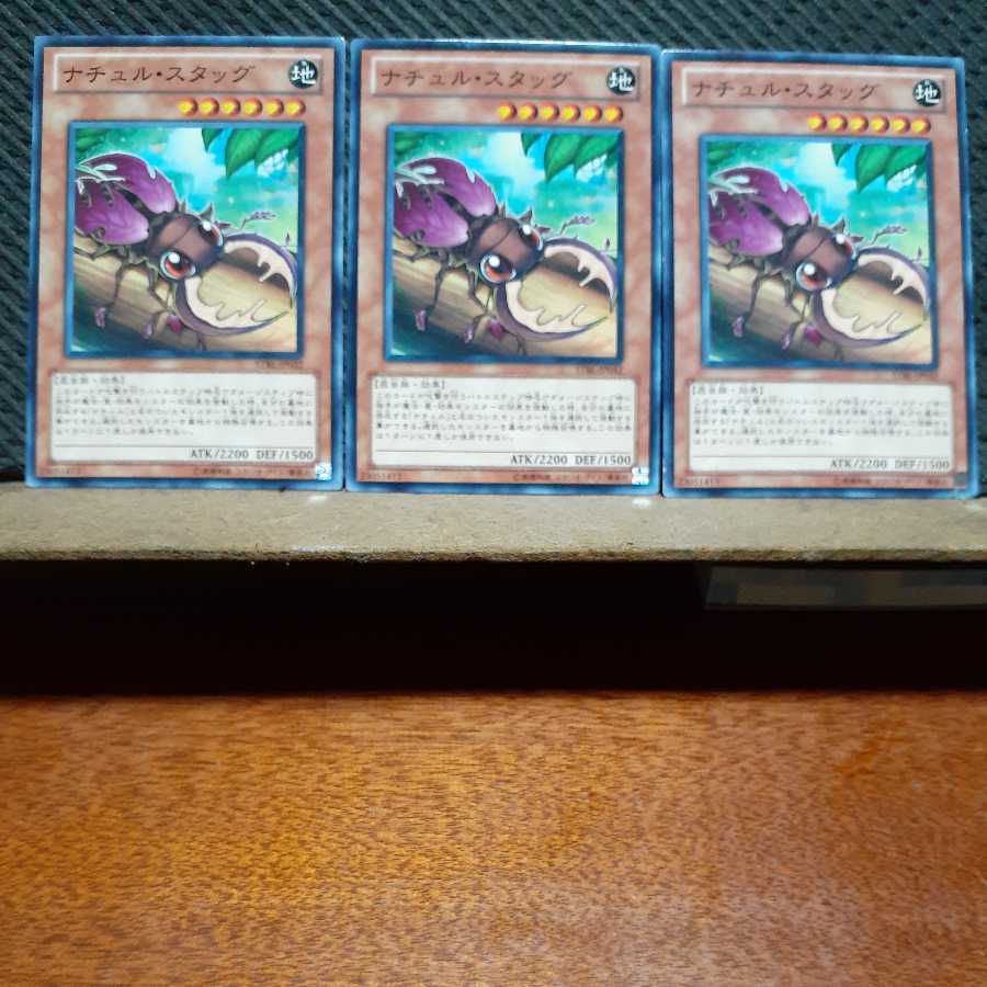 Popotan] Yu-Gi-Oh 4980 Naturia Stag Beetle 3-card set, normal.