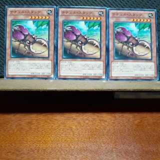 Popotan] Yu-Gi-Oh 4980 Naturia Stag Beetle 3-card set, normal.