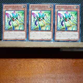 【ぽぽたん】遊戯王  9247  ナチュル・モスキート   ノーマル  ３枚