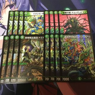 Heteroptera, Iridescens, Imen-Boaro.