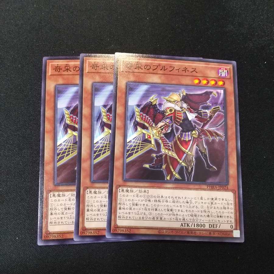 Prufinesse, the Tactical Trapper Normal