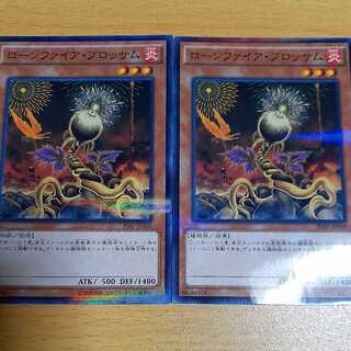 Lonefire Blossom Set of 2