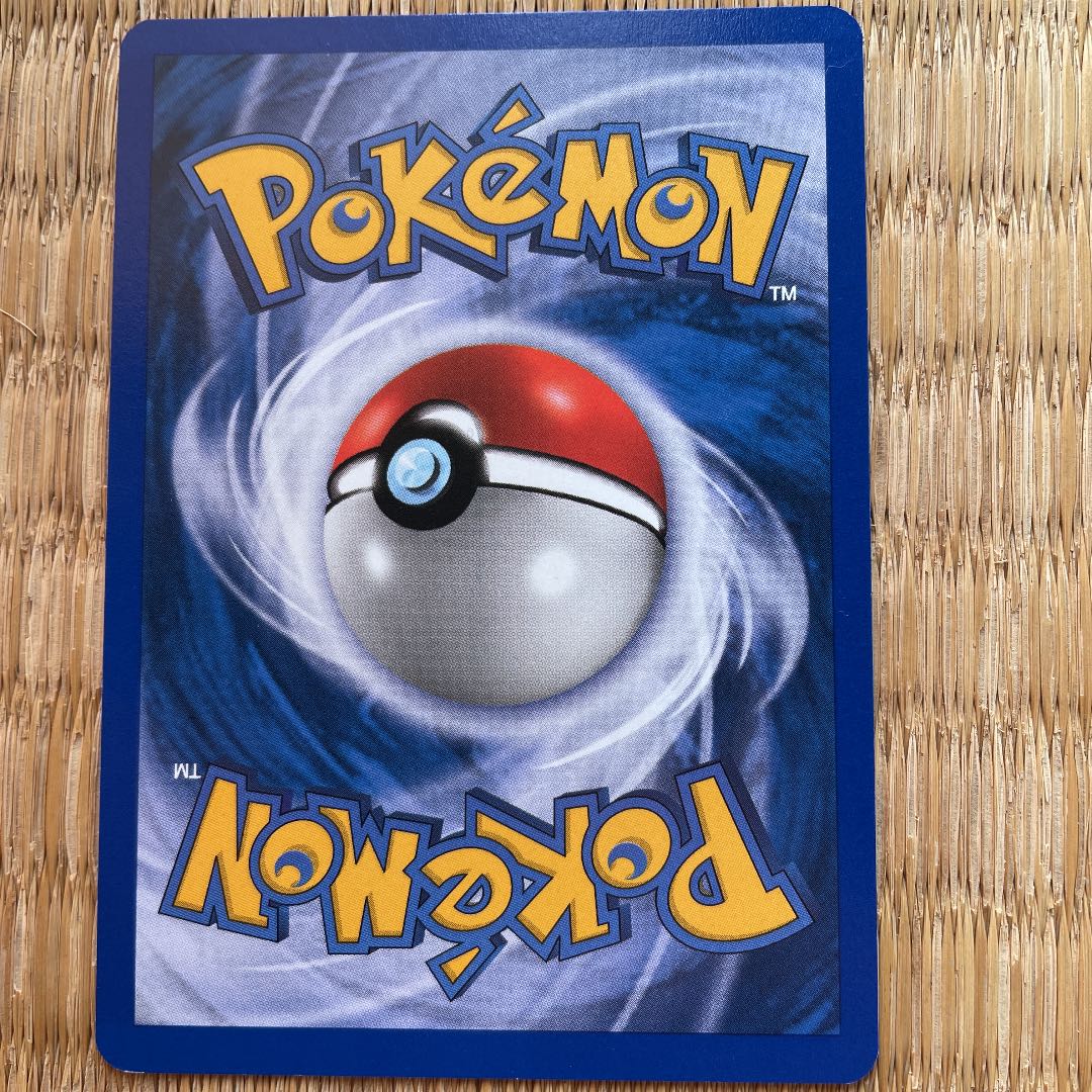 pocket monster (internationally popular cartoon series, originally a video game)