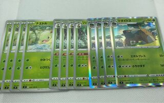 ドダイトス 進化ライン ナエトル ハヤシガメ