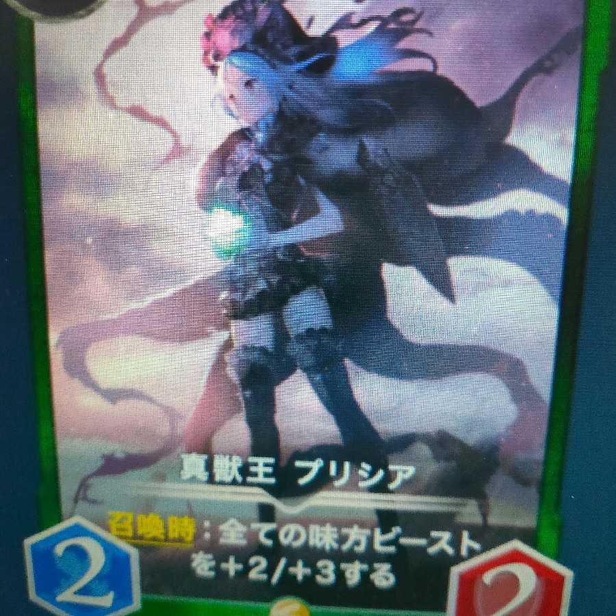 2枚組 真獣王 プリシア