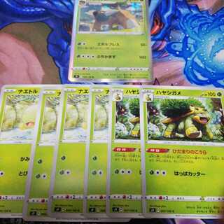 ドダイトス　ハヤシガメ　ナエトル