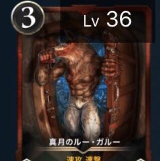 【yyさん専用】真月のルー・ガルー　Lv36