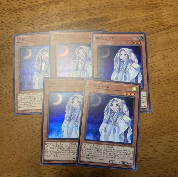 そやしぐれ　朔夜しぐれ　５枚