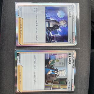 Boss's Orders (Giovanni) Professor's Research (Professor Magnolia)