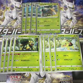 Torterra Evolution Line Set