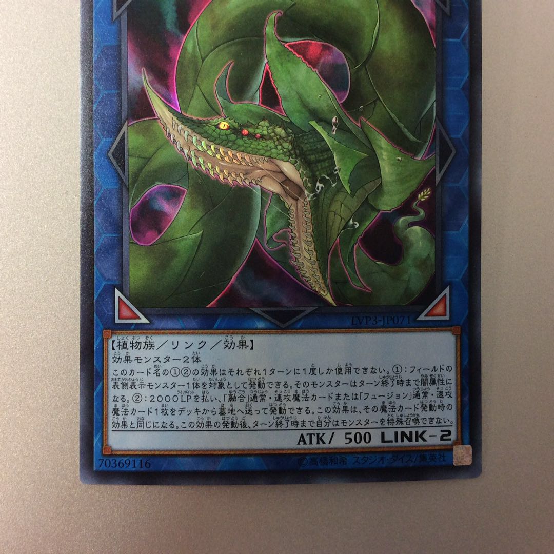 （美品）捕食植物ヴェルテアナコンダ　ウルトラレア