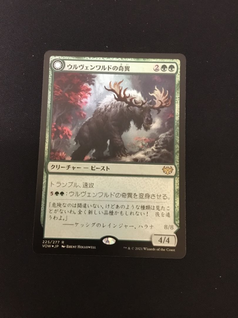 Ulvenwald Oddity foil