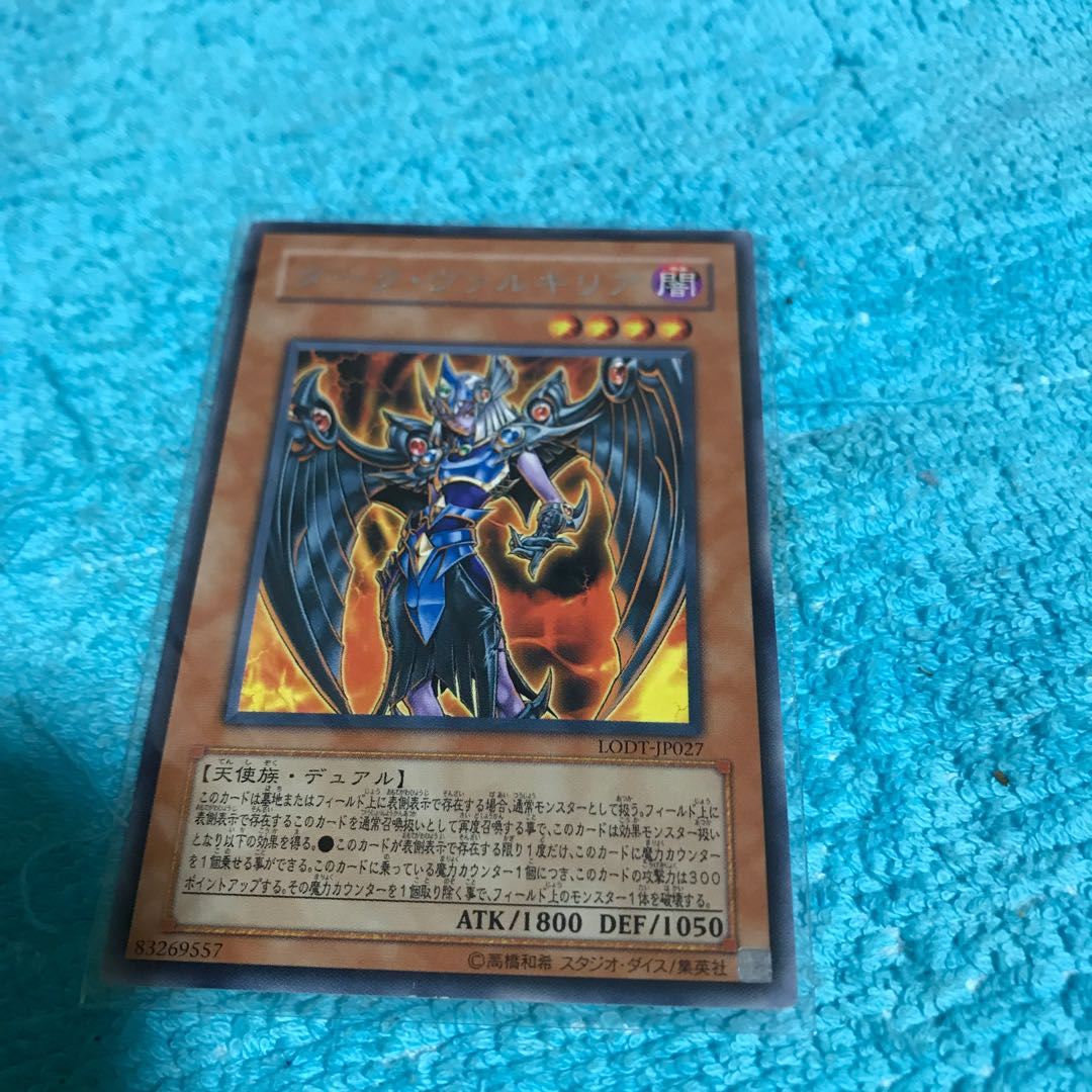 mg３４８０４　銀文字　ダーク　ヴァリキリー