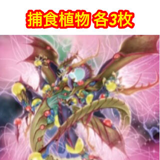 Prey Upon Plant Set of 3 each Stave Venom Predator Fusion Dragon