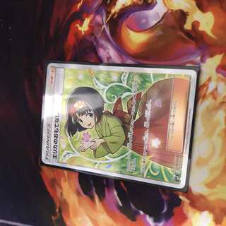 Erika's Hospitality SR