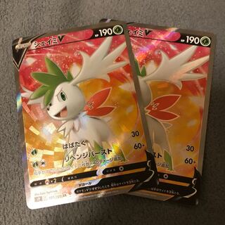 Large discount] ShayminV sr two pieces