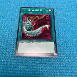 ハーピィの羽根帚 1枚