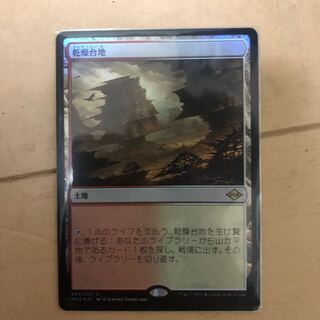 Arid Mesa Rare Japanese foil