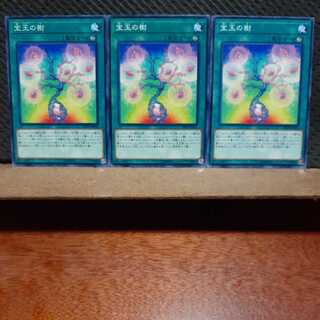 【ぽぽたん】遊戯王　2545　 宝玉の樹　3枚セット　ノーマル
