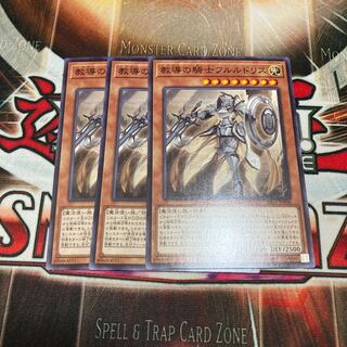 教導の騎士フルルドリス　ノーマル　3枚