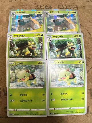 Torterra Evolution Line Set