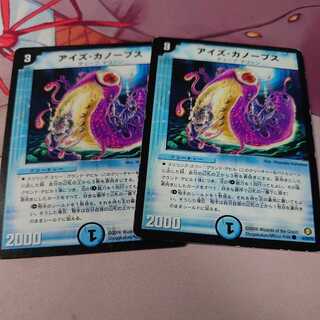 Eyes Canopus, 2 pieces.