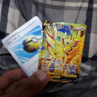 ザマゼンタSR クイックボール