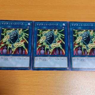 Magnet Reverse Set of 3