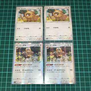 ビッパ C　ビーダル R