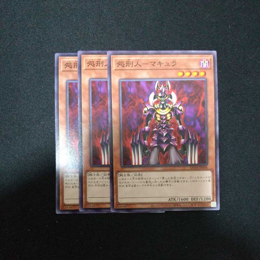 Execute person - Macula Normal