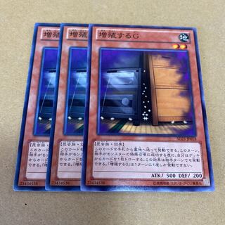 Maxx "C" normal, set of 3