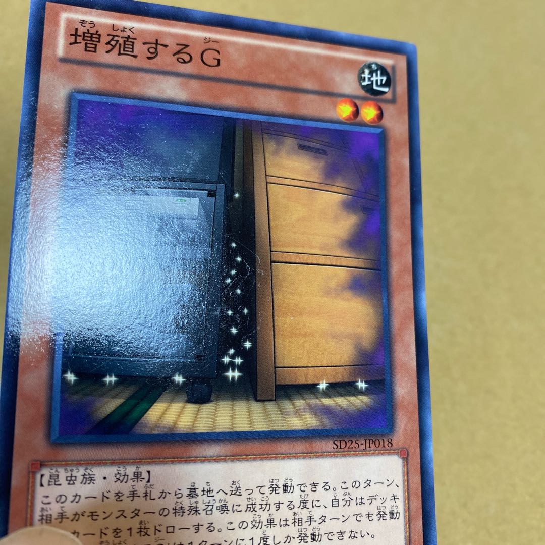 Maxx "C" normal, set of 3