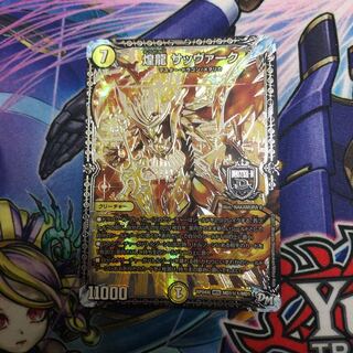 煌龍サッヴァーク